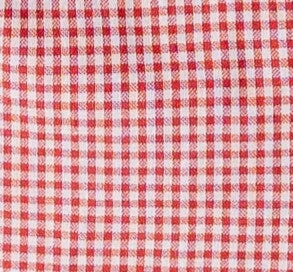 Scallop Edge Gingham Top - Image 5