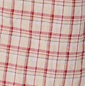 Francine Checkered Top -Red - Image 6